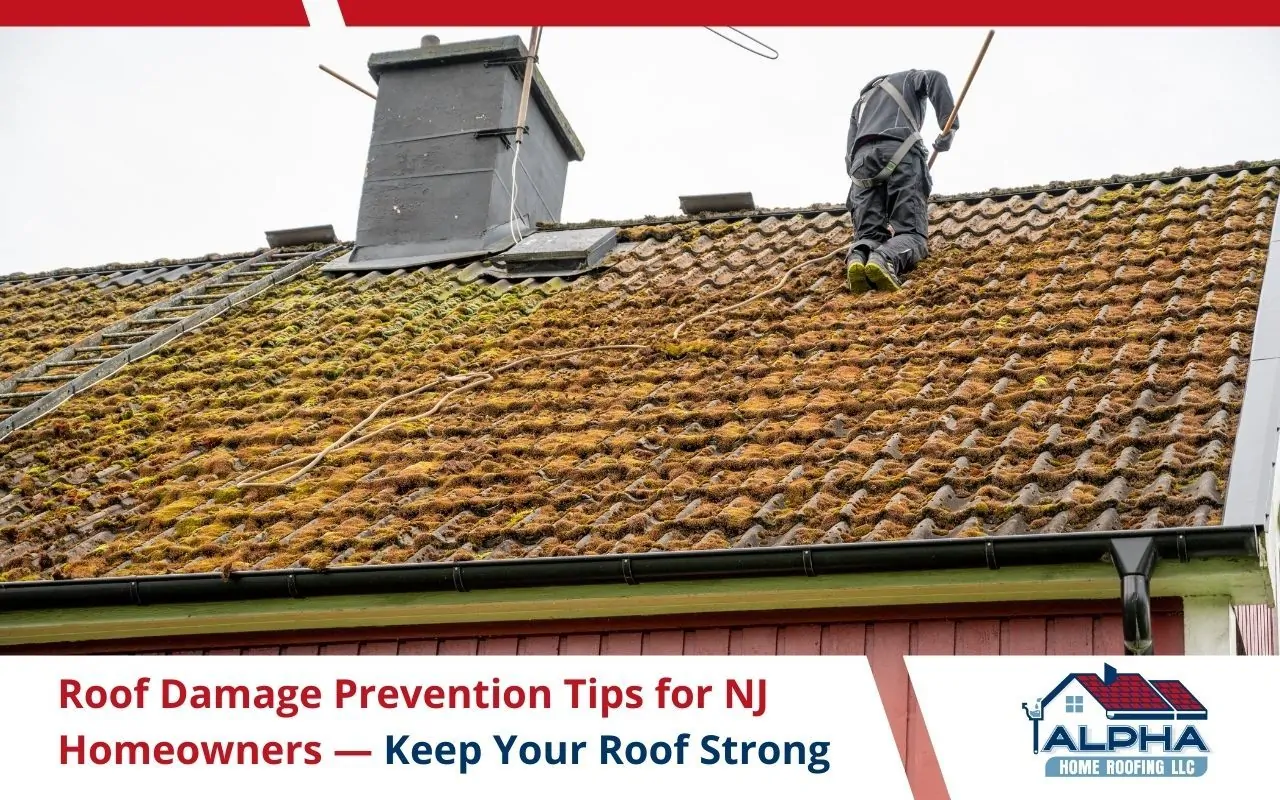 Technician removing moss buildup from asphalt shingles