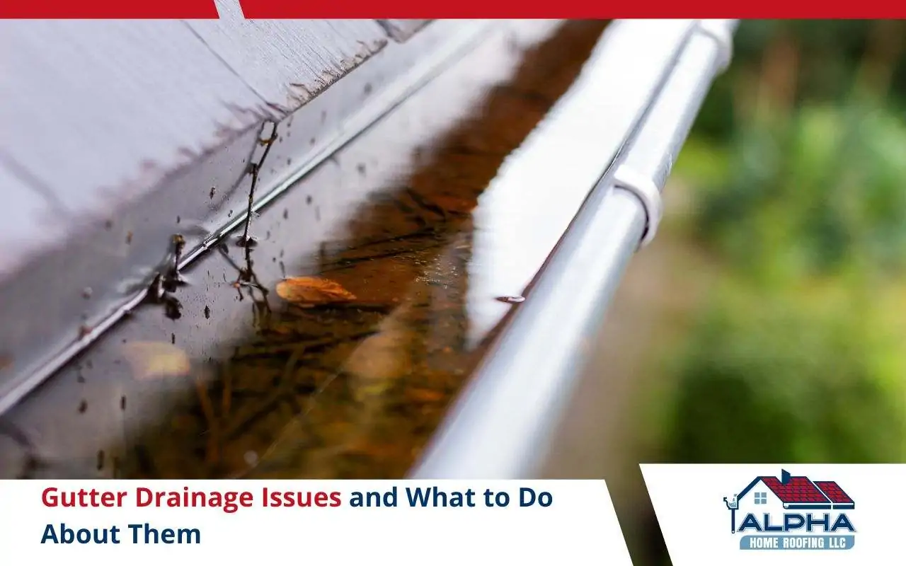 Gutter filled with standing water showing poor drainage on home in Elizabeth, NJ