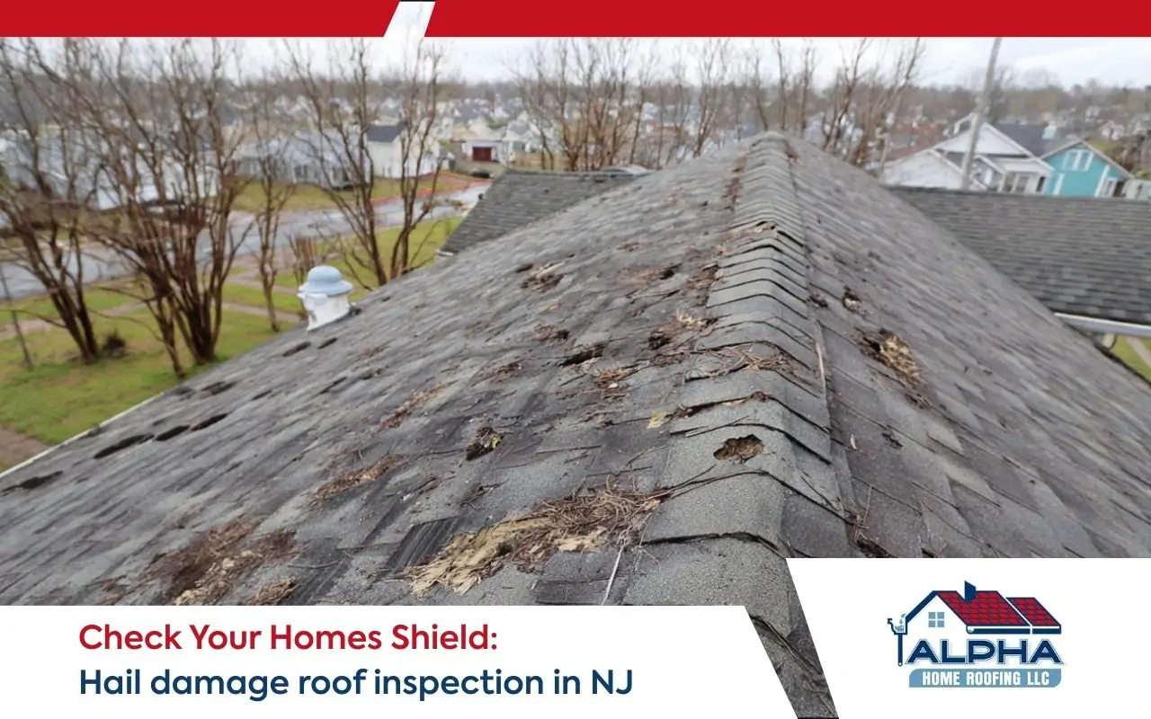 Hail damage roof inspection in NJ showing roof slopes with visible shingle impacts after a storm